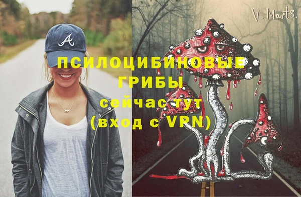 альфа пвп Краснослободск