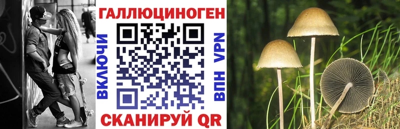 закладка  МЕГА вход  Галлюциногенные грибы MAGIC MUSHROOMS  Харабали 